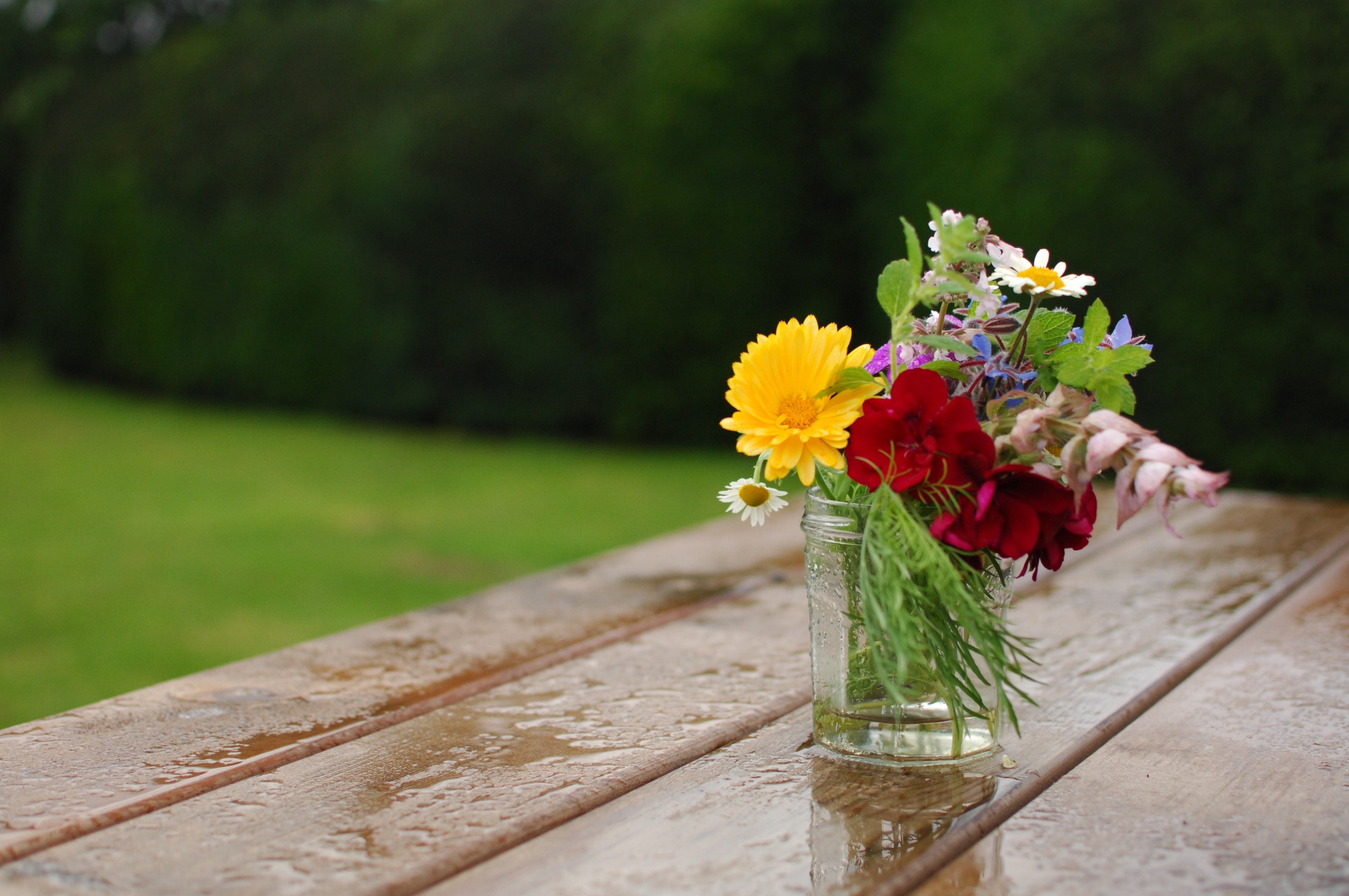 Flowers on Table